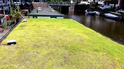 Groendak met lekkageherstel — dakdekker De Kroon — dakdekker Zeist